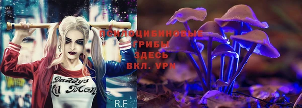 мяу мяу мука Абинск