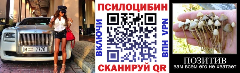это состав  Чекалин  Псилоцибиновые грибы прущие грибы  где купить наркоту 